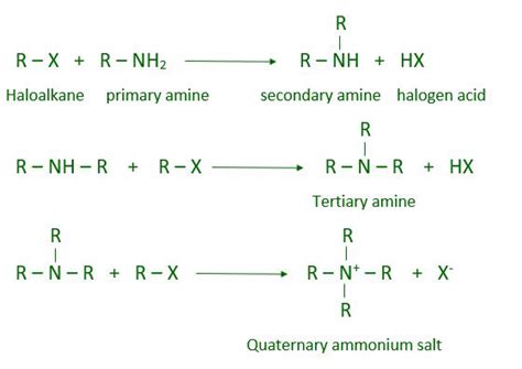 amines and their reactions.